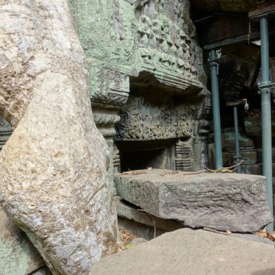 Wurzeln ziehen sich quer durch den Tempel