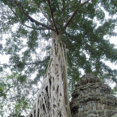 2018_02_19_Angkor Wat_15